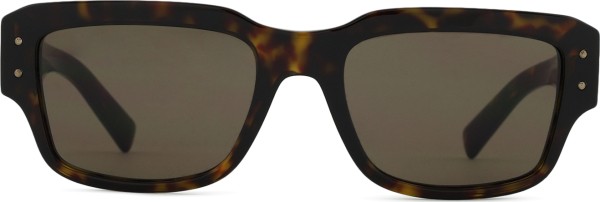 Dolce & Gabbana 0DG 4483 502/73 54