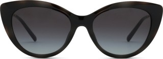 Emporio Armani EA 4213U 50171W 53 (clip-on) 36744