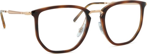 Ray-Ban 0RX4451V 5687 53