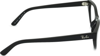 Ray-Ban 0RX5449D 2000 54 40030