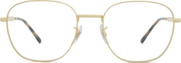 Ray-Ban 0RX6534 2500