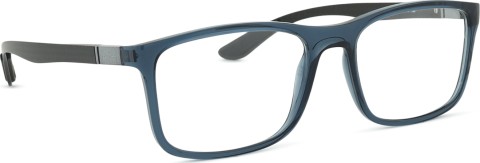 Ray-Ban 0RX8908 5719 55