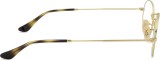 Ray-Ban Oval 0RX3547V 2500 41063