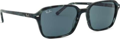 Ray-Ban Raimond RB2231 1417R5 56