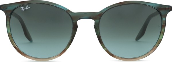 Ray-Ban RB2204 1394GK 54