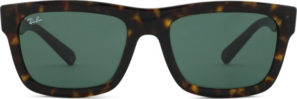 Ray-Ban Warren RB4396 135971 57