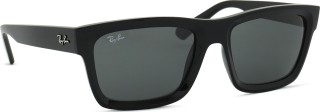 Ray-Ban Warren RB4396 667787 57