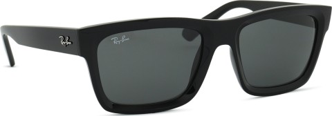 Ray-Ban Warren RB4396 667787